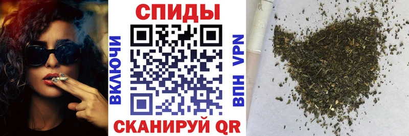 купить   Шуя  Бутират буратино 