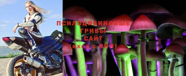 PSILOCYBIN Алзамай