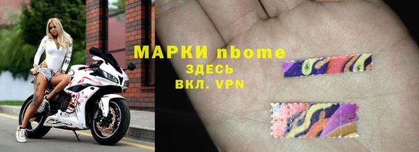 индика Алексин