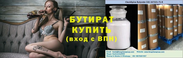 индика Алексин