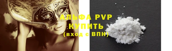 индика Алексин