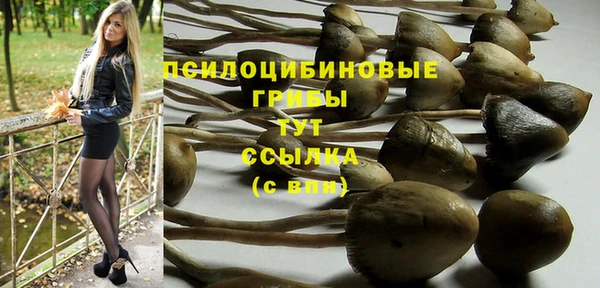 шишки Алексеевка