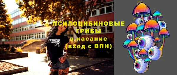 PSILOCYBIN Алзамай