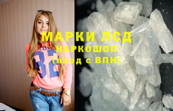 индика Алексин