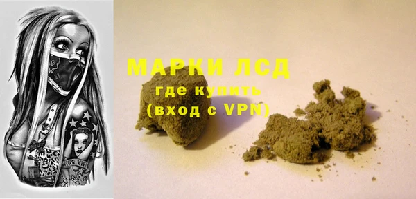 индика Алексин