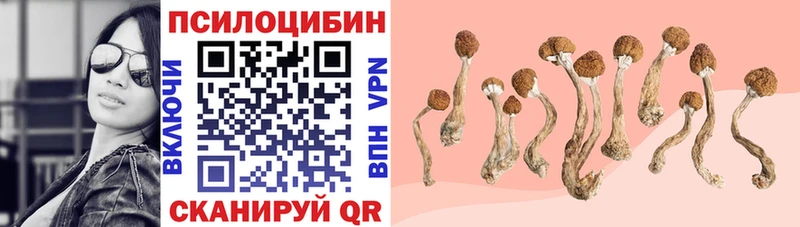 Галлюциногенные грибы MAGIC MUSHROOMS  как найти закладки  Шуя 